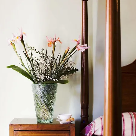 L'orto Degli Angeli בוואניה